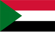International Organization for Migration