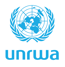 International Organization for Migration